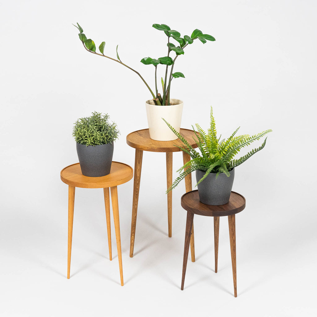 Massivholz Beistelltisch Set für Wohnzimmer in Eiche Buche oder Nussbaum dreibeinig mit Pflanzen